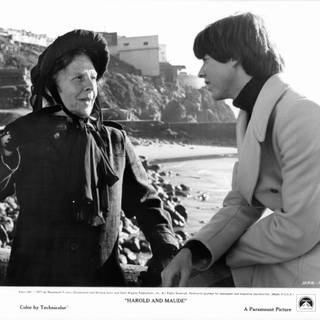 Harold and Maude wallpaper