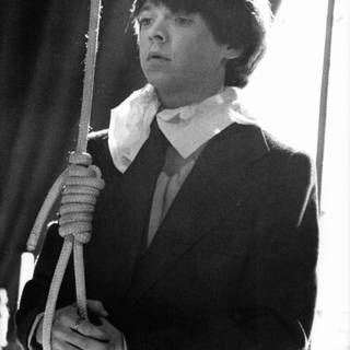 Harold and Maude wallpaper