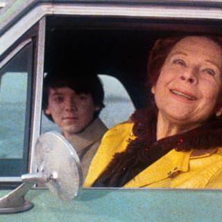 Harold and Maude wallpaper