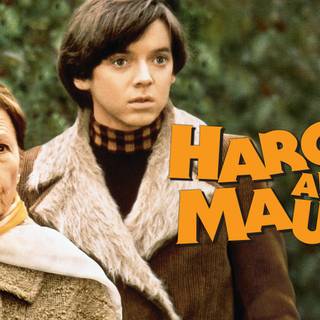 Harold and Maude wallpaper