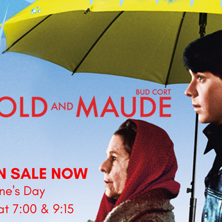 Harold and Maude wallpaper