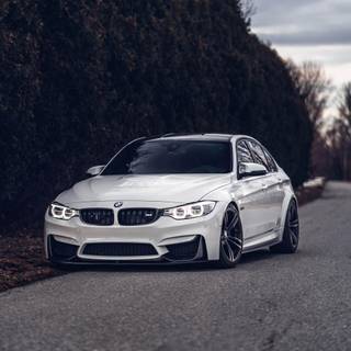 Spring BMW wallpaper