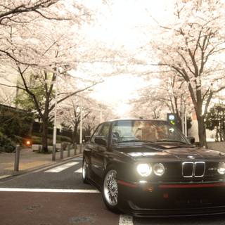 Spring BMW wallpaper