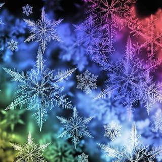 Snowflake winter wallpaper