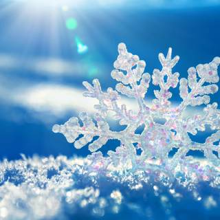 Snowflake winter wallpaper