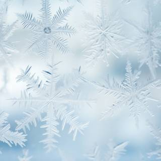 Snowflake winter wallpaper