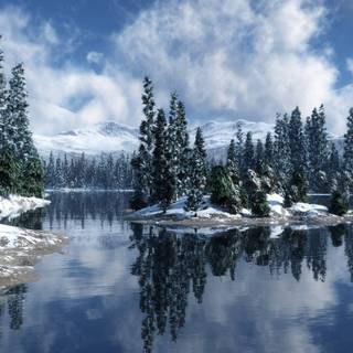 Forest green winter wallpaper