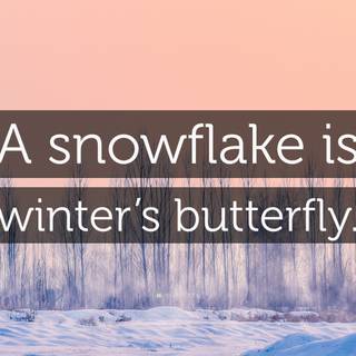 Snowflake winter wallpaper