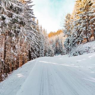 Purple winter drive wallpaper