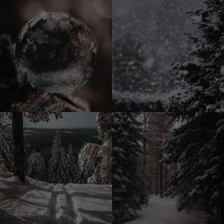 Winter art dark wallpaper