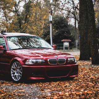 Spring BMW wallpaper