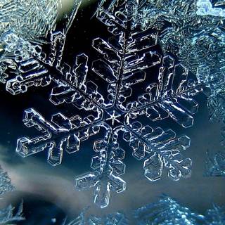 Snowflake winter wallpaper