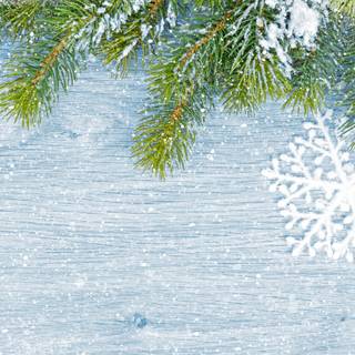 Snowflake winter wallpaper