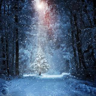 Snow laptop wallpaper