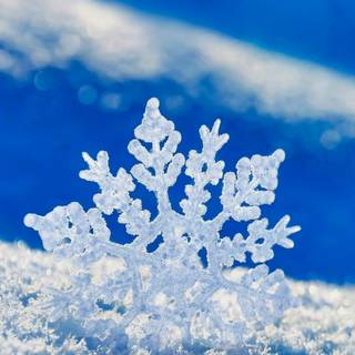 Snowflake winter wallpaper