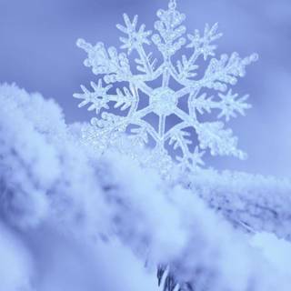 Snowflake winter wallpaper