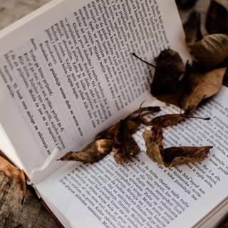 Book laptop wallpaper