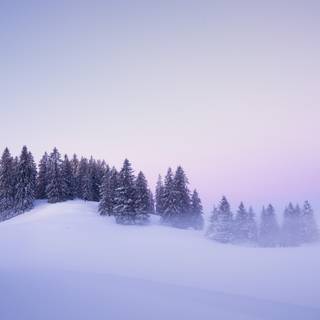 Snow winter 4k wallpaper