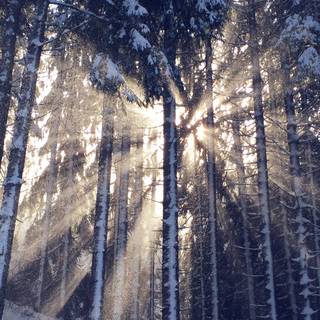 Snow winter 4k wallpaper