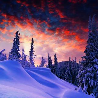 1440x900 winter HD wallpaper