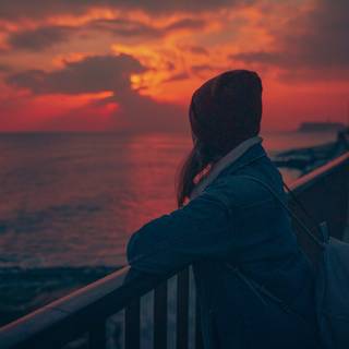 Watching sunset wallpaper