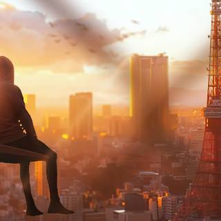 Watching sunset wallpaper