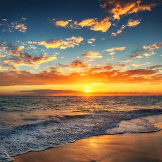 Watching sunset wallpaper