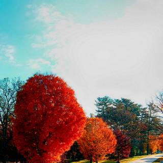 Beautiful place HD iPhone wallpaper