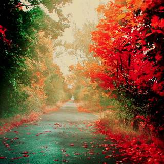 Beautiful place HD iPhone wallpaper