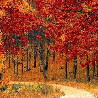 Beautiful place HD iPhone wallpaper