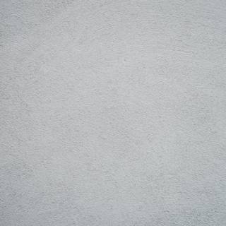 White portrait wallpaper