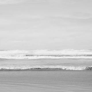 Light gray desktop wallpaper