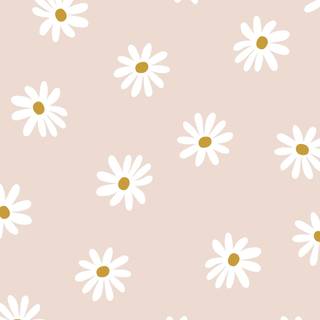 White mobile aesthetic wallpaper