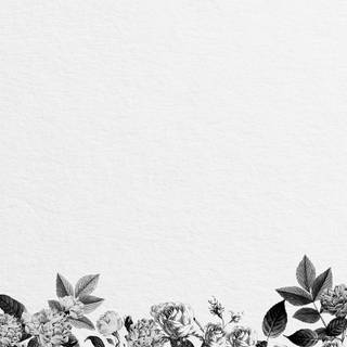 White mobile aesthetic wallpaper