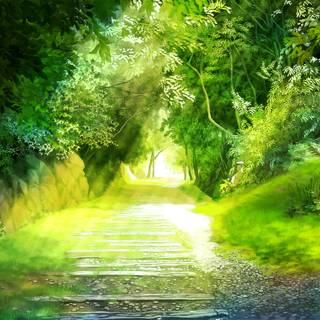 Anime forest PC wallpaper