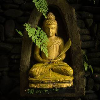 The Buddha wallpaper