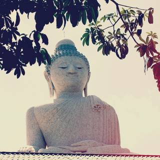 Buddha 4k PC wallpaper