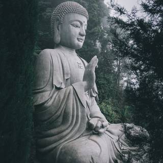 The Buddha wallpaper