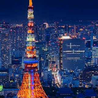 Tokyo Tower phone wallpaper