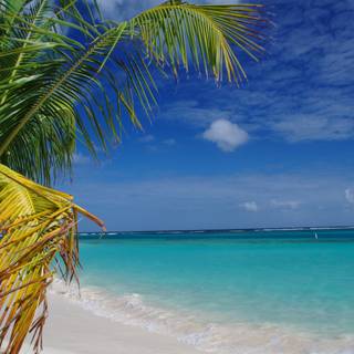 Puerto Rico 4k wallpaper