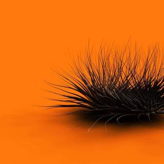 Black and orange desktop wallpaper