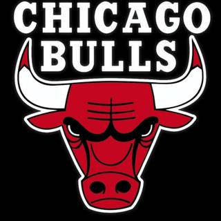 Bull iPhone wallpaper