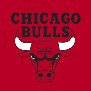 Bull iPhone wallpaper