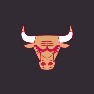 Bull iPhone wallpaper