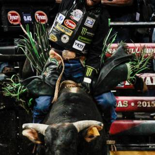 Bull iPhone wallpaper