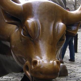 Bull iPhone wallpaper