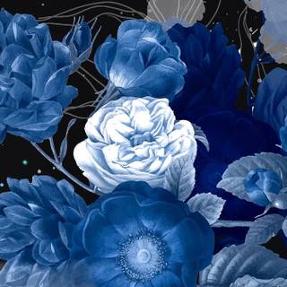 Blue flowers iPhone wallpaper