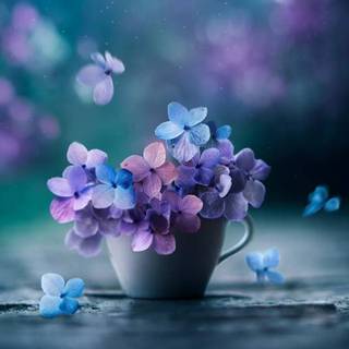 Blue flowers iPhone wallpaper