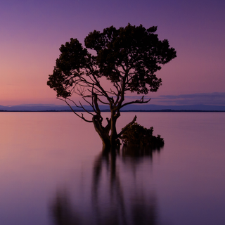 iPhone lake wallpaper