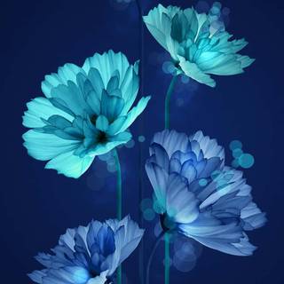 Blue flowers iPhone wallpaper